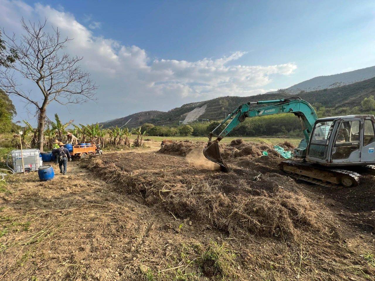 展示农民在田间进行土壤翻耕和有机肥施用的图片 萝卜种植土壤处理