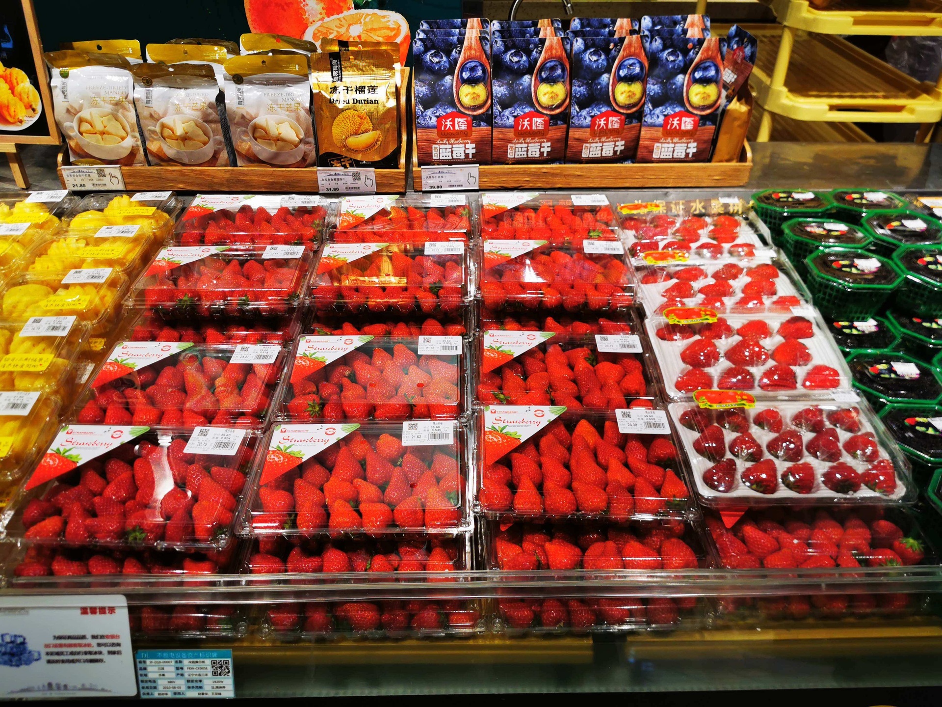 现代超市冷藏区与干货区交界处,左侧冷藏柜内摆放多盒带标签的新鲜蓝莓(标注品种Bluecrop,产地山东),右侧货架陈列数款独立包装的冻干蓝莓与蓝莓干制品(部分标明无添加糖),消费者正在比较选购,体现不同形态产品的市场共存状态 超市货架上的新鲜蓝莓与蓝莓干并列陈列场景