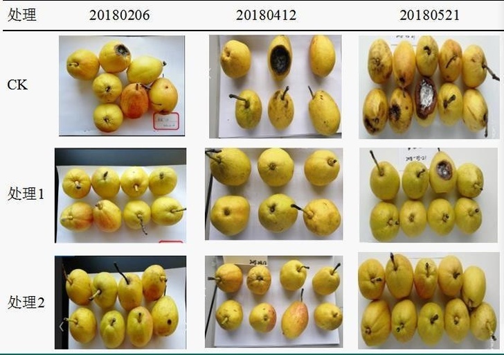 不同烹饪方式下梨的营养保留率柱状图