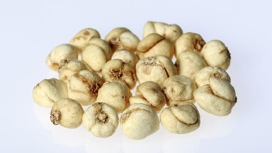 展示整颗白豆蔻果实(灰白色三棱状)、纵向剖面(内含数十粒黑褐色种子)、显微结构示意(挥发油腺体分布),背景为热带雨林环境模拟图 白豆蔻实物解剖图