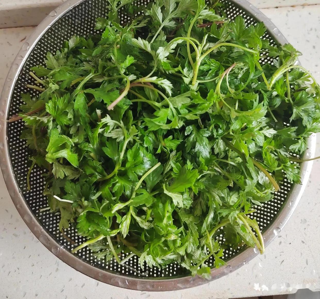 艾叶清洗过程