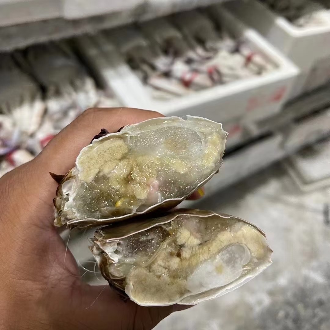 一只完整的大闸蟹被打开,展示其内部结构,包括蟹黄、蟹膏、蟹胃、蟹腮、蟹心等部位。蟹心位于蟹体中央,呈六角形深色组织,周围有透明膜包裹,图片标注清晰,适合用于科普说明 大闸蟹解剖结构示意图