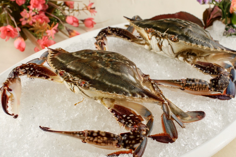 一盘刚出锅的清蒸远海梭子蟹摆盘特写