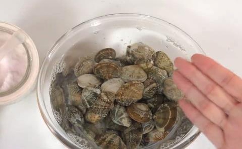 花蛤摆放在蛋液中并覆盖保鲜膜
