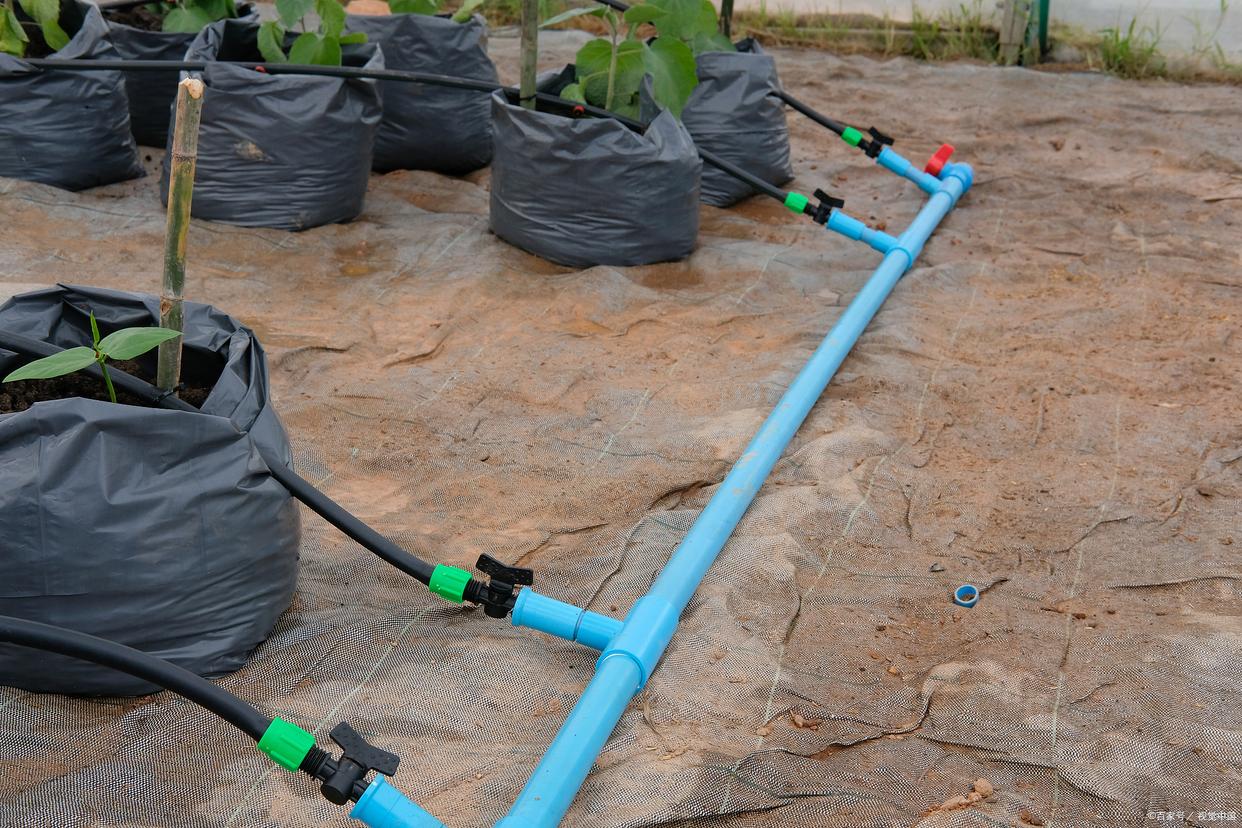 甜瓜滴灌施肥系统现场应用图