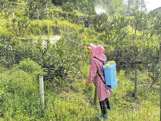 果园中使用定向喷雾进行除草作业