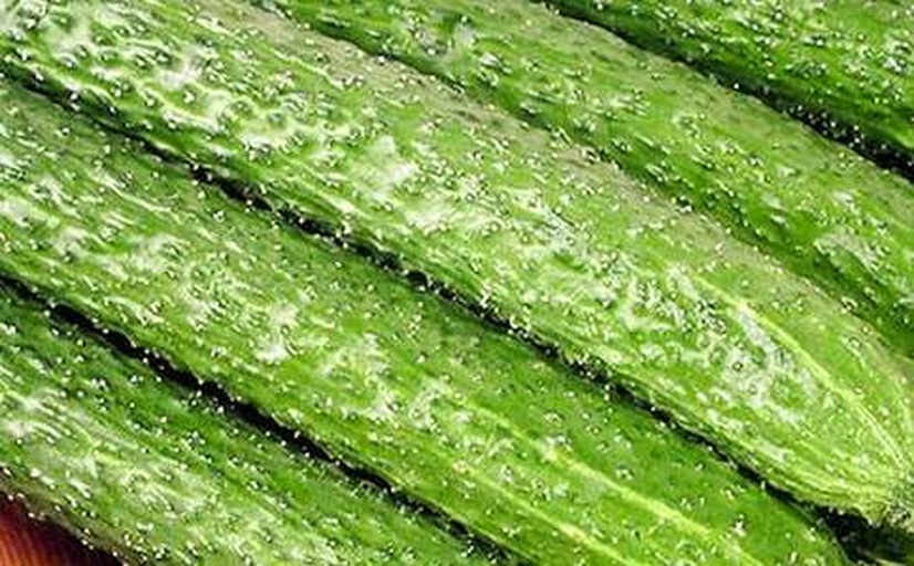 水黄瓜特写图片