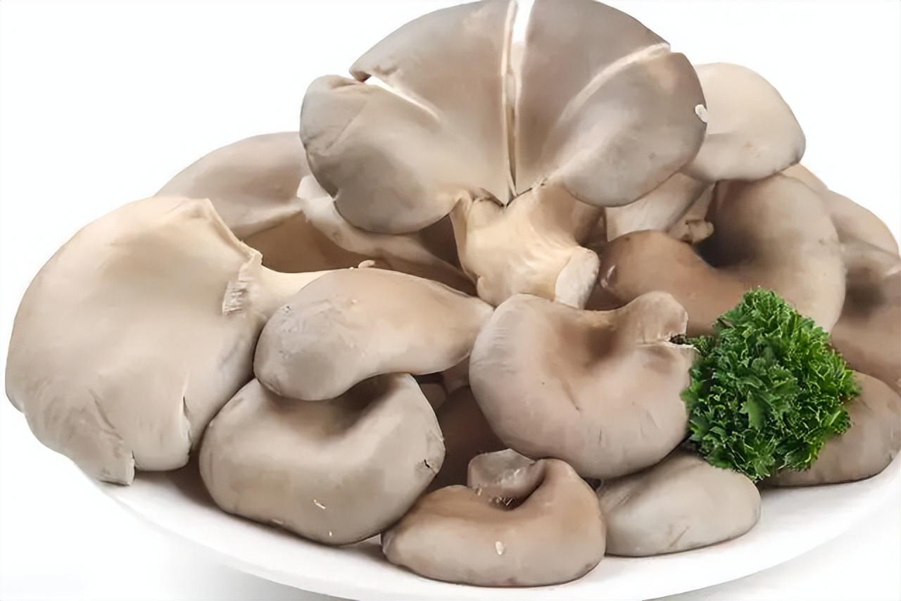 蒜蓉蚝油炒鲜平菇成品图