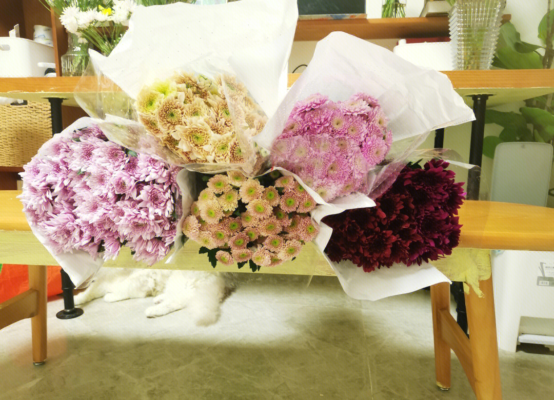 野菊花枝干手工艺品展示