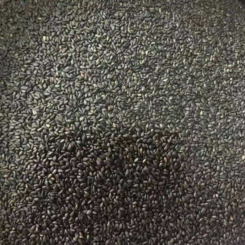 黑芝麻黑豆营养协同机制示意图