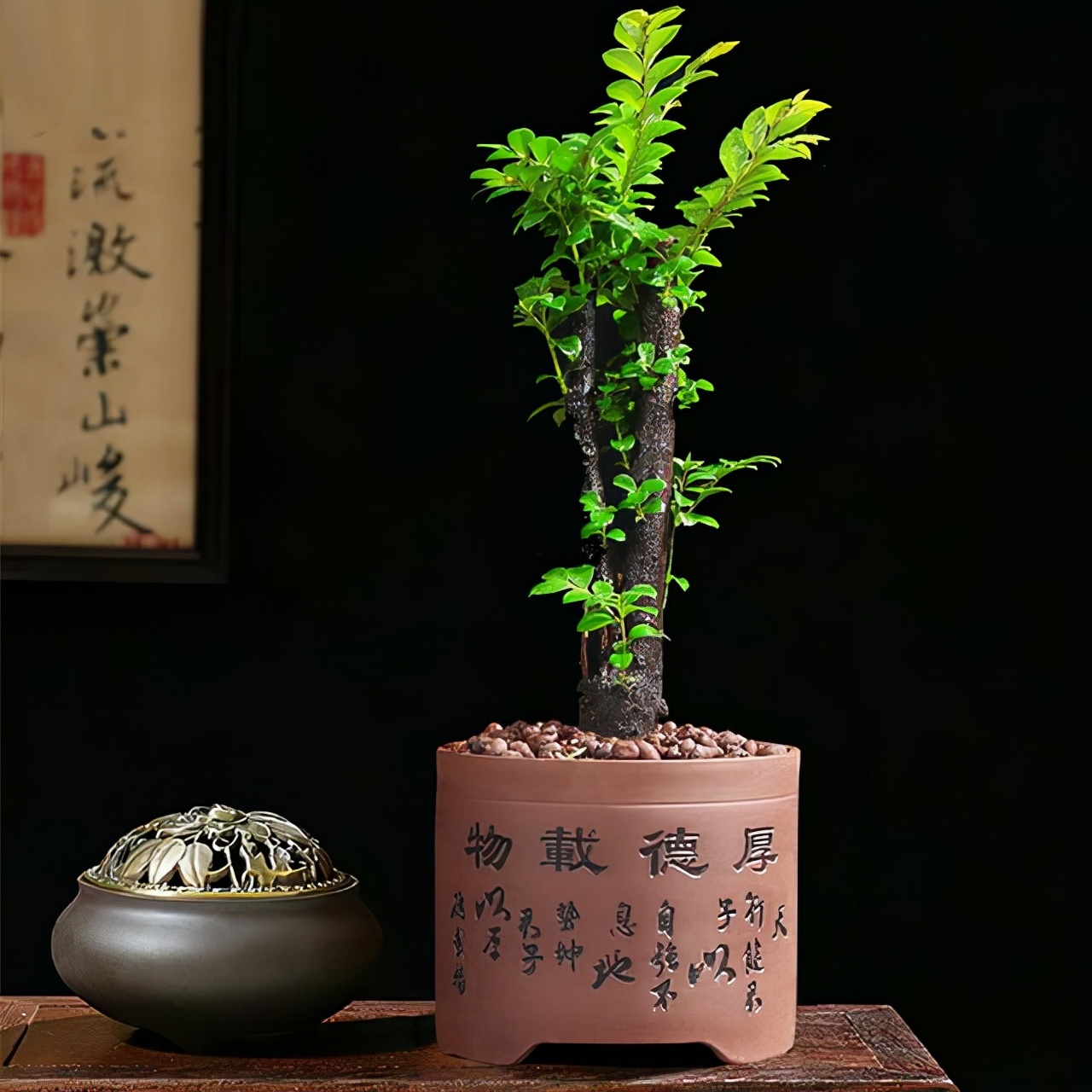 一只古朴的黄铜卧兽香炉放置在深色木几上,一截灰白色的侧柏线香正在炉中静静燃烧,升起一缕淡蓝色轻烟,周围散落着几粒未使用的侧柏果,环境安静雅致,充满东方禅意氛围 侧柏香在铜香炉中缓缓燃烧,散发袅袅青烟