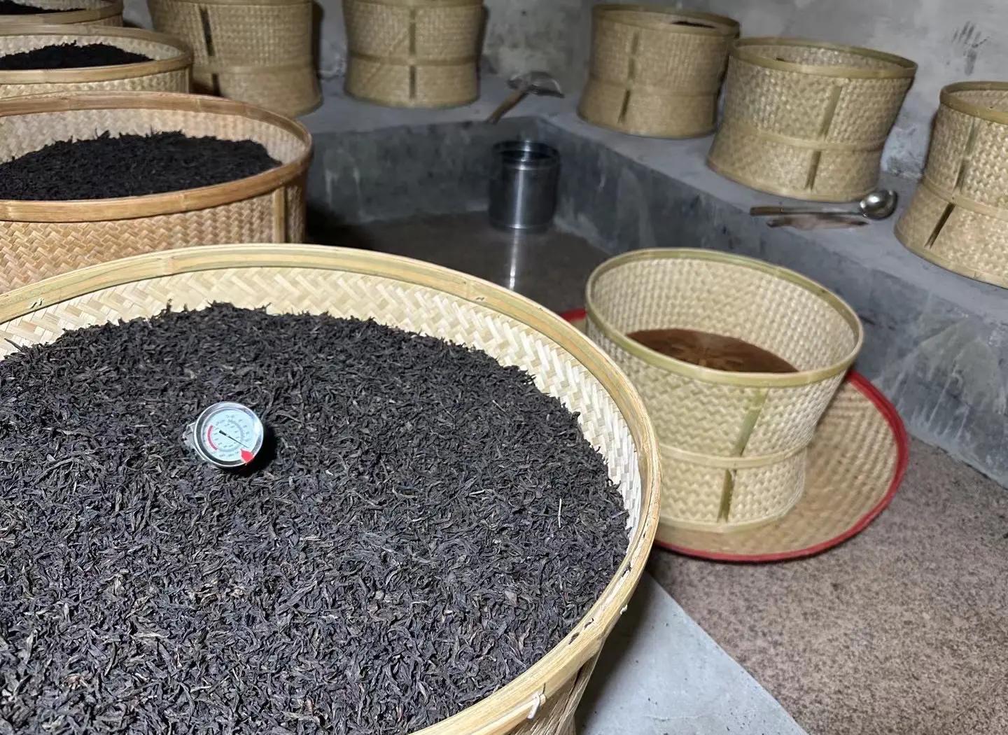 武夷山当地茶农在室内使用竹制摇青机进行手工做青操作,画面中可见大量新鲜采摘的茶青叶片正在翻滚,茶师用手感知叶片状态,背景为传统木结构制茶作坊,墙上悬挂温度计与记录表,体现非遗技艺传承场景 武夷山茶农正在进行传统手工摇青作业