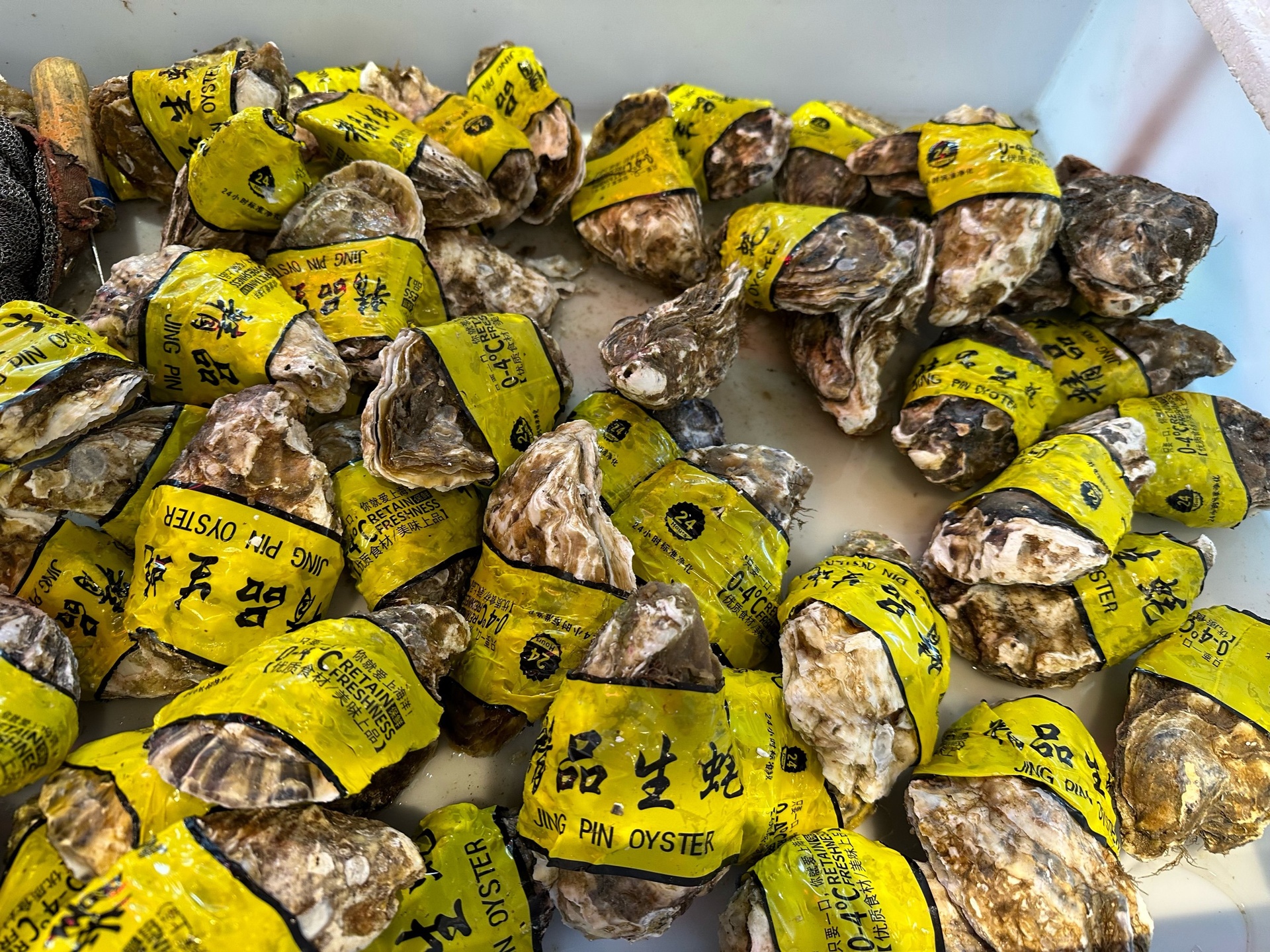 一组生蚝整齐摆放在超市冷藏展示柜中,底部铺有碎冰,部分生蚝外壳略微张开,整体保持湿润状态,标签注明产地、捕捞日期和保质期信息 生鲜超市冷藏柜中的生蚝摆放情况