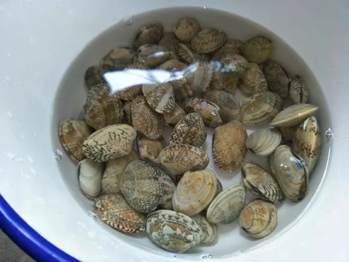 俯拍视角:原木色料理台上摆放透明玻璃盆,内盛乳白色微浊米汤,浸泡约20只花蛤,部分贝壳微张,汤面漂浮少量细沙颗粒,旁边放小勺与计时器,光线温暖自然 家庭厨房操作台上的米汤吐沙场景