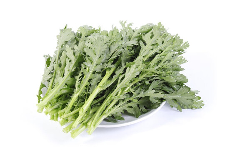 小叶茼蒿蒸制完成装盘效果:突出色泽翠绿、茎叶完整、酱汁分布均匀、无积水无萎蔫,体现‘蒸90秒’带来的理想质地 蒸制完成的小叶茼蒿装盘特写:翠绿色泽鲜亮均匀的茼蒿整齐铺于白瓷浅盘中,表面淋有琥珀色酱汁,可见细小姜末与蒜粒点缀,油光清亮不浮腻,盘边放置小碟盛放剩余酱汁