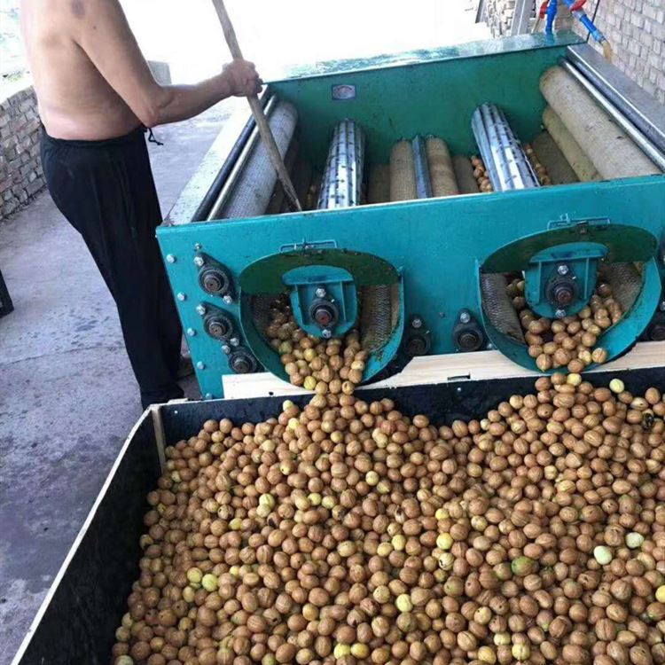 一名身穿工作服的工人站在不锈钢操作台前,正在用高压水枪冲洗一批刚脱去青皮的湿核桃,水流溅起细小水花,背景可见排列整齐的塑料筐和现代化工厂环境 工人正在用水流冲洗刚脱皮的核桃进行清洁