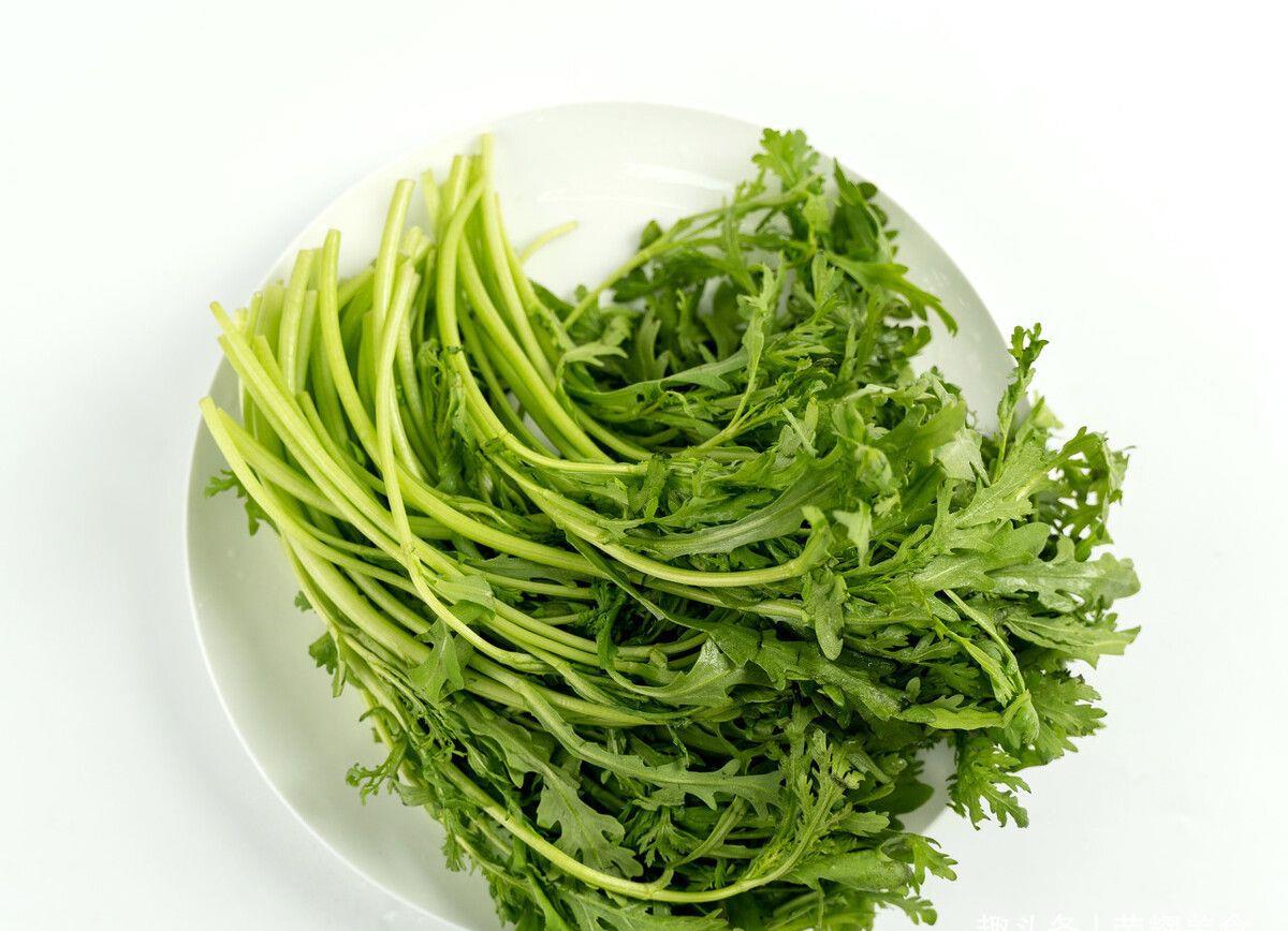 展示菊花脑新鲜嫩芽与嫩叶,颜色翠绿,叶片细长,带有自然清香 菊花脑的嫩芽与嫩叶