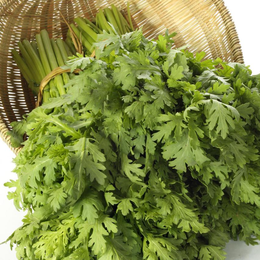 生菜与茼蒿新鲜叶片特写对比图