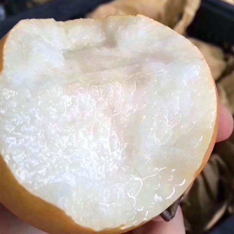 一个新鲜白梨被横向切开,露出洁白细腻的果肉和中心的种子腔,果皮呈淡黄色,表面光洁,果肉晶莹剔透,汁液丰富,展示其高品质的感官特征和内部结构 白梨切面特写