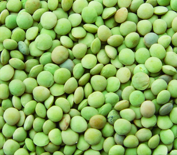 生扁豆与熟扁豆对比图