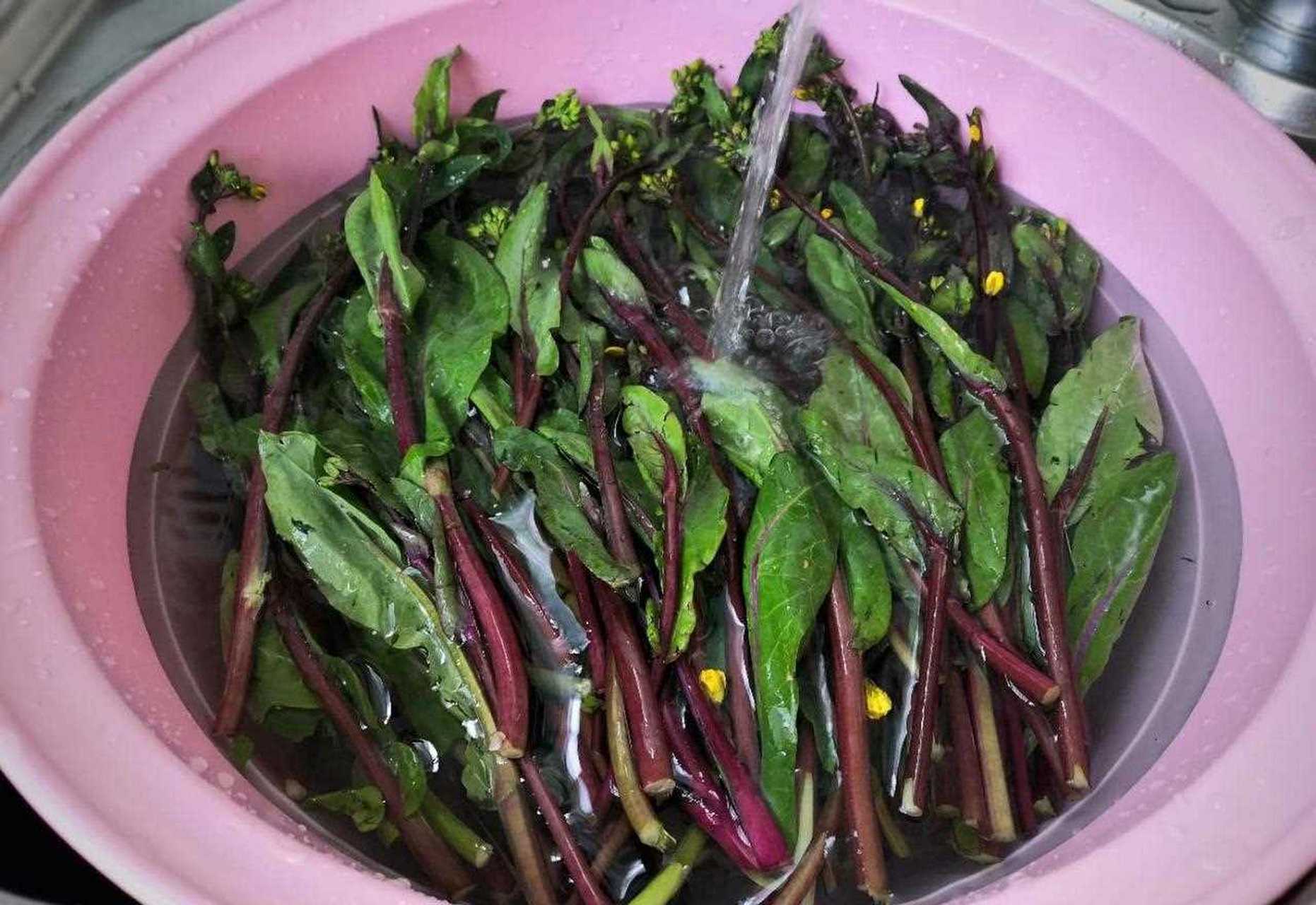 芥菜与芹菜清洗切段过程