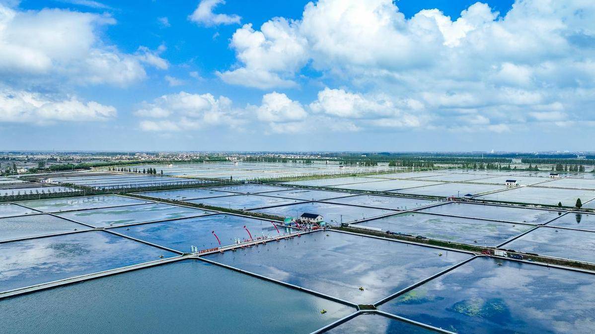 湖南湘潭花石镇万亩荷塘航拍图