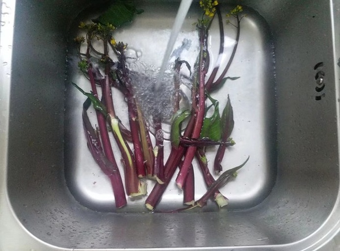 红菜苔清洗与切配过程图