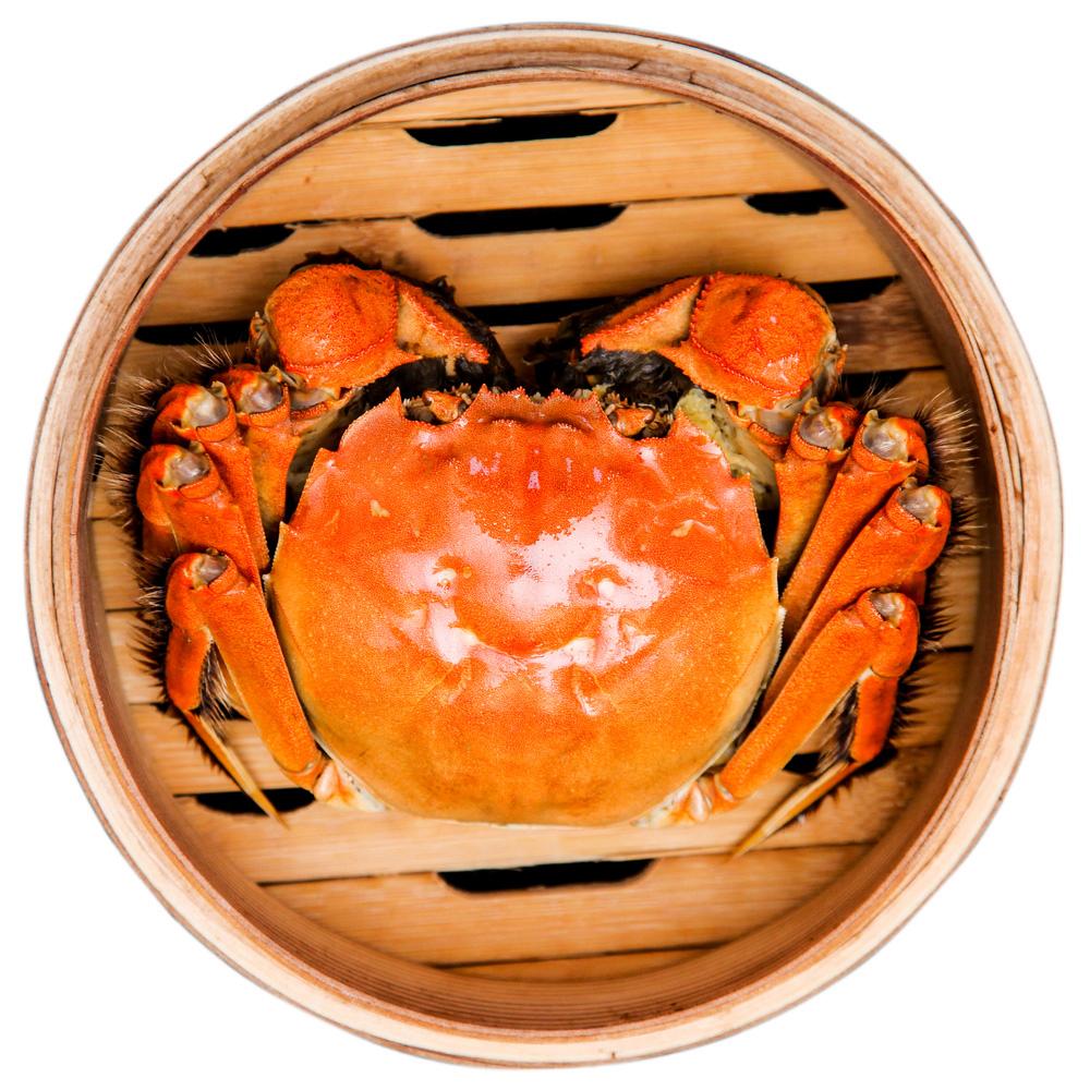 六月黄螃蟹特写