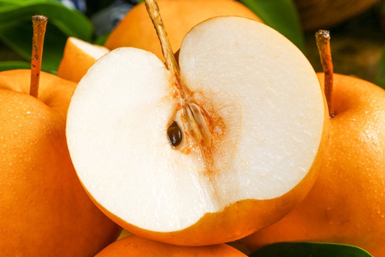 成熟梨的横切面解剖图