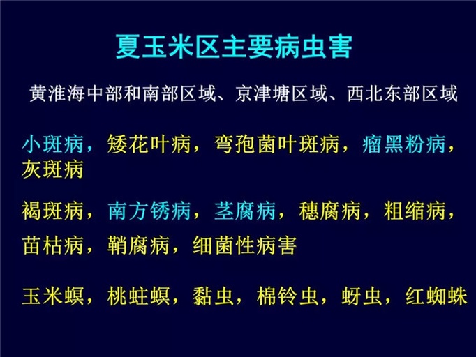 糯玉米病虫害识别图