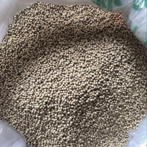 厨房场景中,一位营养师正在讲解白胡椒的健康用法:砧板上有新鲜猪肚、生姜、白胡椒粒;旁边摆放着标注‘每日推荐用量’的小勺(3g),以及一杯混合姜黄牛奶(黄金奶),杯身贴有‘+白胡椒提升吸收’标签 白胡椒营养应用场景图