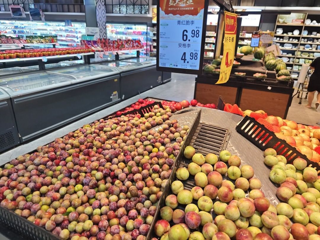 一张木质展台上摆放着三款不同规格的西瓜红李子礼盒,包装设计简洁时尚,印有‘西瓜红李子’字样和切面图案;旁边放置一块展示牌,写着‘天然果肉如西瓜般红润’;背景为农贸市场或展会现场,有顾客正在咨询购买 西瓜红李子礼盒包装与线下展销场景