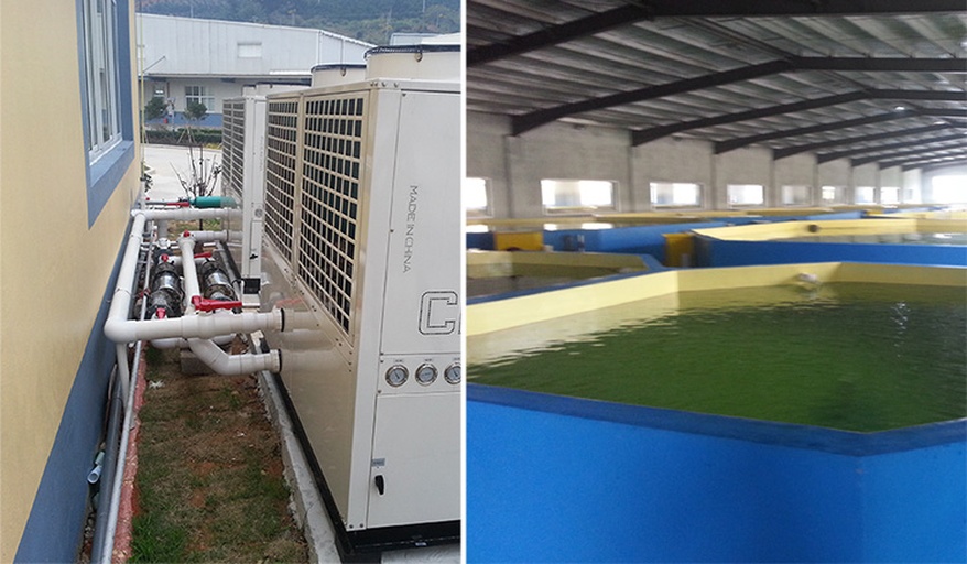 现代化多宝鱼养殖车间内景，圆形水泥池中清澈水流循环流动，鱼群在水中游动，上方有供氧设备和监测仪器