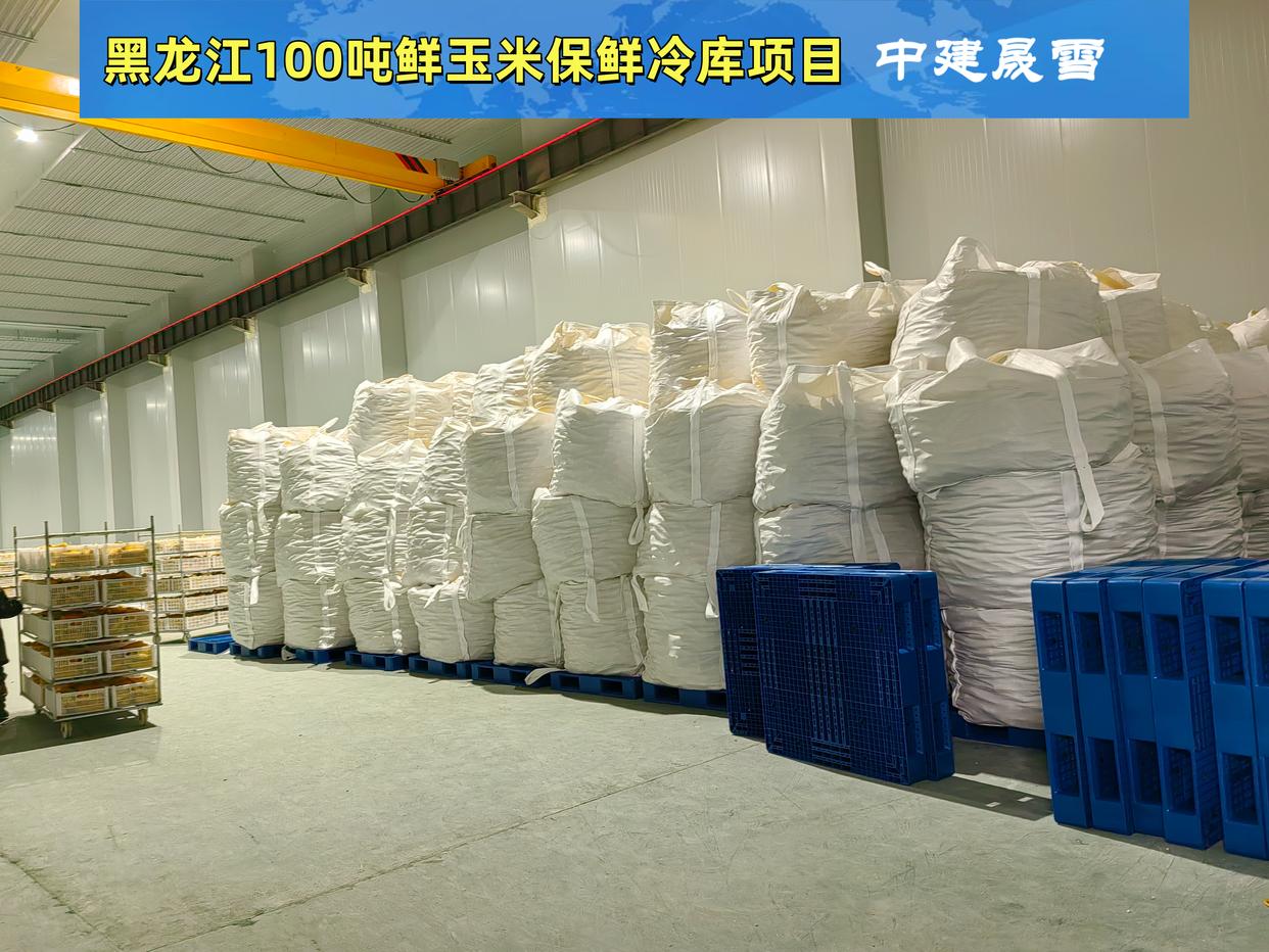 带皮生玉米装入透明保鲜袋并准备放入冰箱冷藏