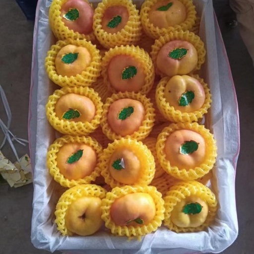 一个精美的桃形李礼品盒,盒子设计典雅,印有‘桃李芬芳’字样,盒内整齐摆放着六颗新鲜桃形李,旁边放着一张手写贺卡,写着‘师恩难忘’,背景为木质桌面与绿植,营造温馨氛围 桃形李礼盒与贺卡组合