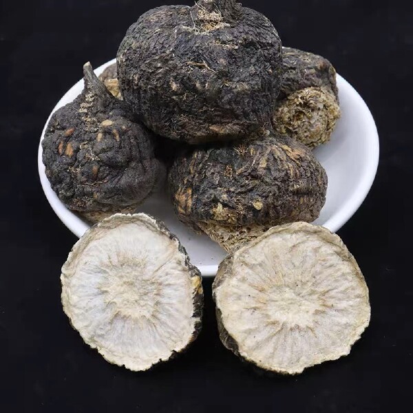 一株生长在高山环境中的黑玛卡植物,展示其羽状叶片和地下膨大的块根;块根呈深灰黑色,表面粗糙,切开后内部为浅黄色或淡紫色组织,旁边摆放干燥的黑玛卡切片和粉末样品 黑玛卡植株与块根特写