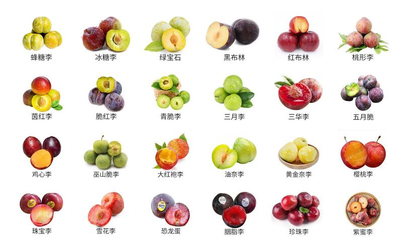 红宝石李子与水果拼盘搭配图