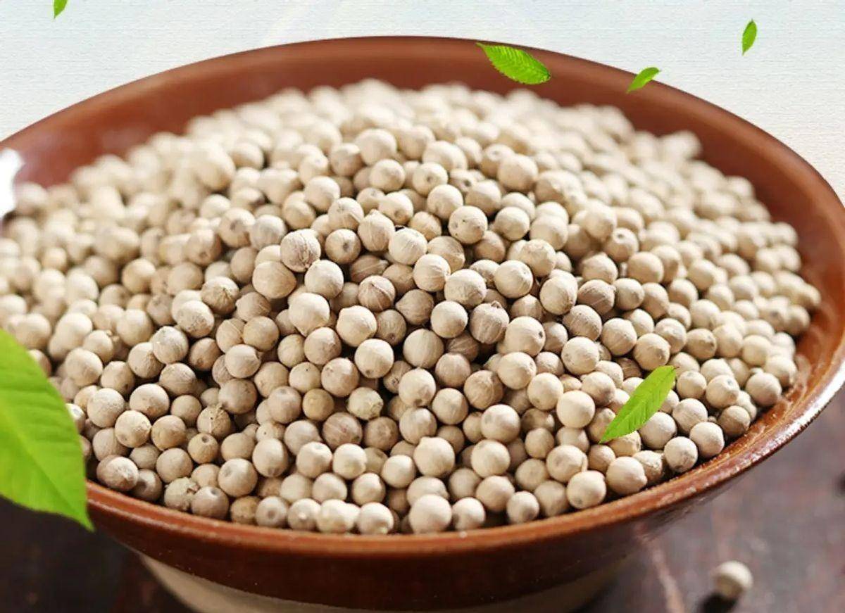 一间传统中药房内景,药剂师正在打开标有‘白胡椒’字样的中药抽屉,展示瓶中干燥完整的白胡椒颗粒,旁边配有戥秤和处方笺,体现其作为中药材的专业使用场景 中药房中的白胡椒药材展示