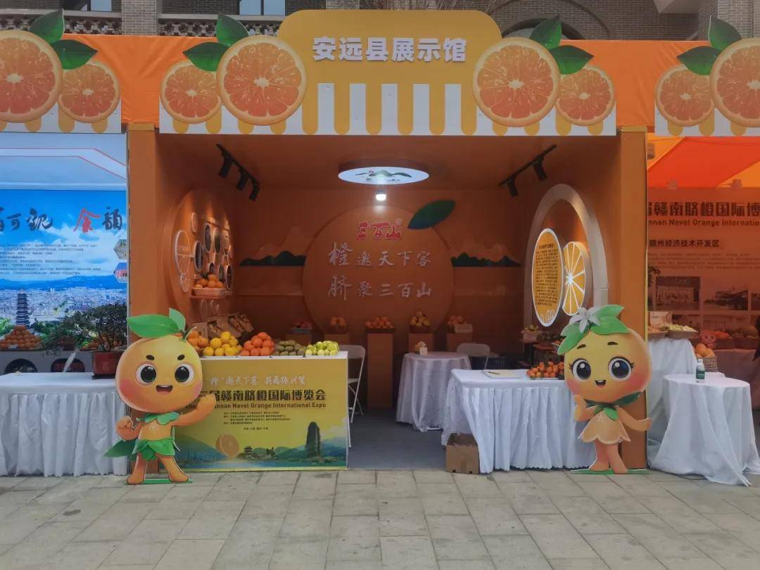 一张木质展台上陈列着多种红心脐橙相关产品:左侧为带叶整果礼盒装,中间为透明瓶装冷榨果汁,右侧为真空包装的冻干橙片,背景悬挂‘安远红心脐橙·源自优质安远脐橙苗’的品牌横幅,整体风格清新自然,突出健康与品质感 红心脐橙系列产品展示台
