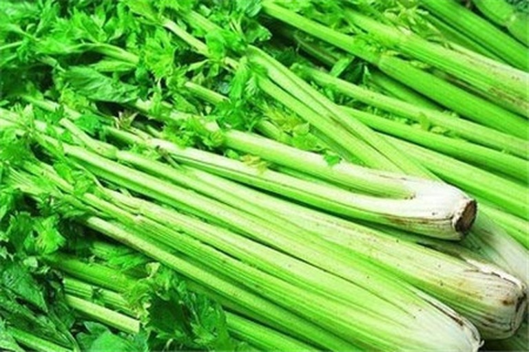 一名主妇正在厨房挑选芹菜,左手持一把新鲜小芹菜,颜色翠绿、茎细挺直;右手边摆放已去叶切段的小芹菜段,砧板上有正在剁馅的过程,旁边标签注明‘适合包饺子’;背景为现代厨房环境,冰箱门贴有‘有机蔬菜’标识 家庭选购与处理芹菜示意图