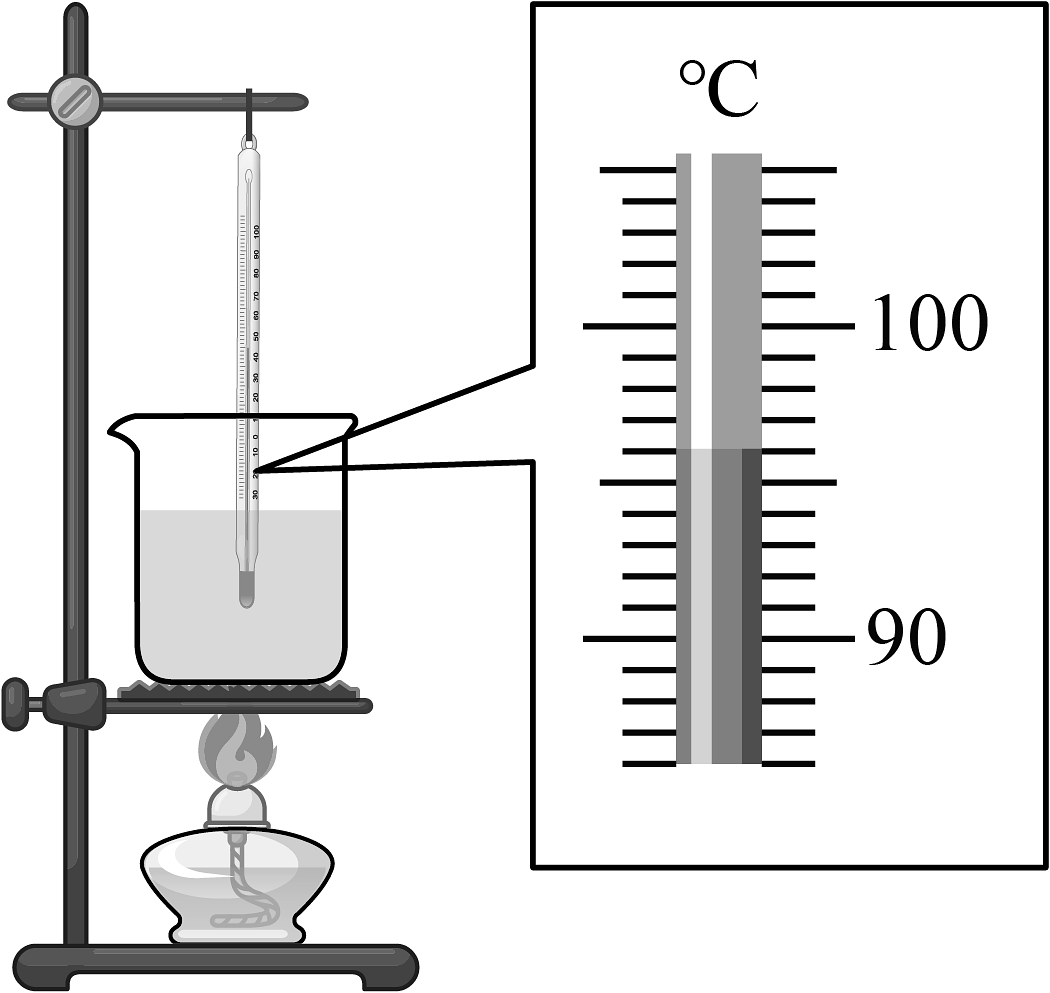 现代厨房中使用温度计测量热水准备冲泡杭白菊的过程