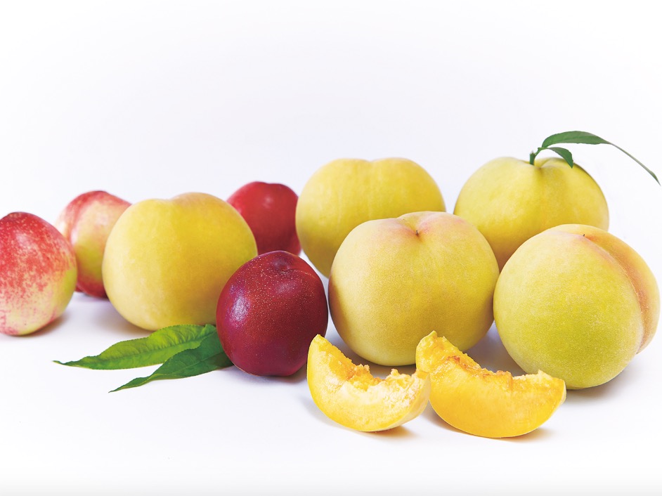 油桃与水蜜桃对比图,展示两种水果外观与果肉结构差异 油桃与水蜜桃对比图