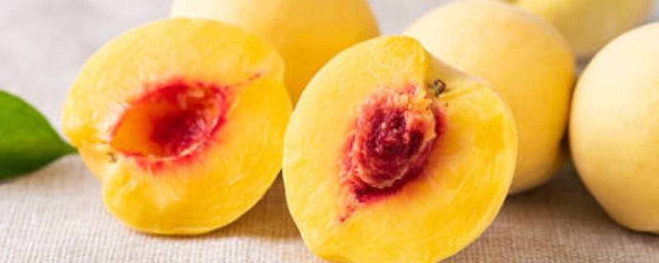 黄贵妃桃果实特写展示