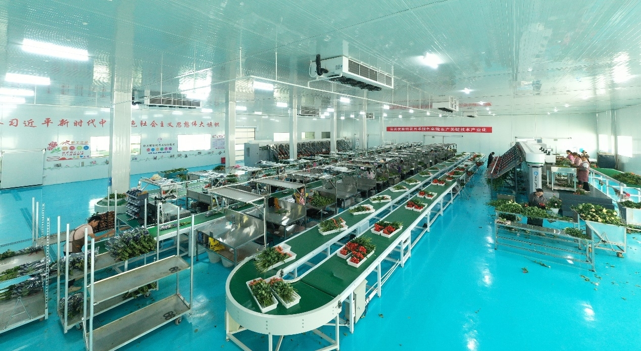 拾季玫瑰加工场景