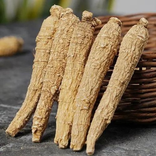 干人参选购指南示意图,展示选购要点与注意事项 干人参选购指南示意图