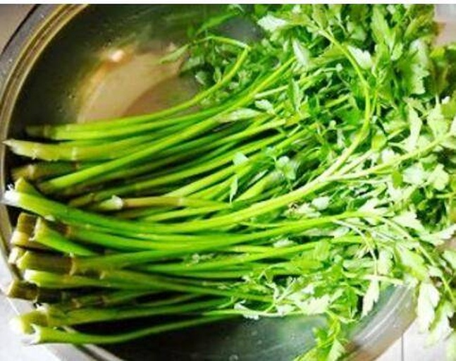 芹菜原料特写：新鲜旱芹整株，茎秆翠绿笔直带浅白纵棱，叶片鲜绿舒展，根部洁净无泥，背景为竹编菜筐