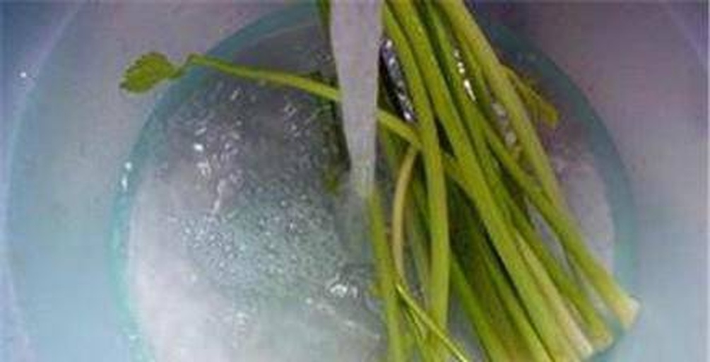 大齿山芹清洗过程