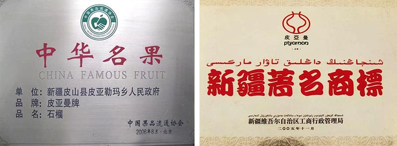 现代化的皮亚曼石榴加工车间内,工人们正在对新鲜采摘的果实进行清洗、分选、糖度检测;一侧流水线上正在进行真空封装与礼盒打包,背景展示‘皮亚曼’品牌标识及二维码溯源系统,体现标准化与品牌化运营 皮亚曼石榴加工车间与包装场景