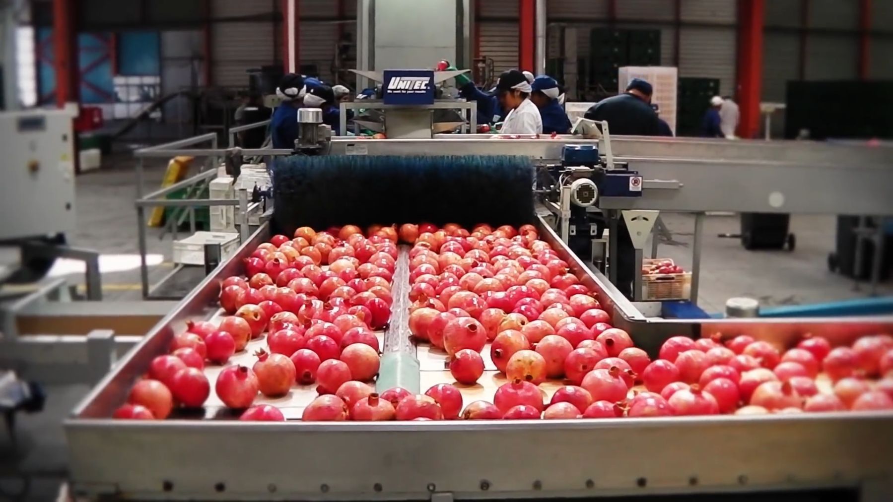 一名厨师正在使用手动榨汁器挤压石榴果粒,深红色果汁流入玻璃杯中,操作台上有散落的石榴皮和籽,场景真实,体现石榴加工过程 石榴榨汁过程