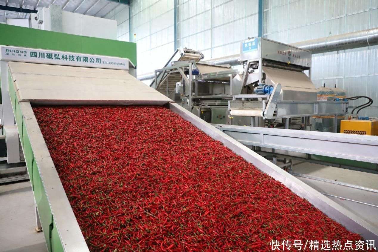 新疆干辣椒分级筛选生产线